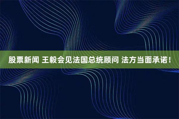 股票新闻 王毅会见法国总统顾问 法方当面承诺！